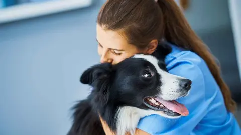 Una veterinaria en una foto de archivo