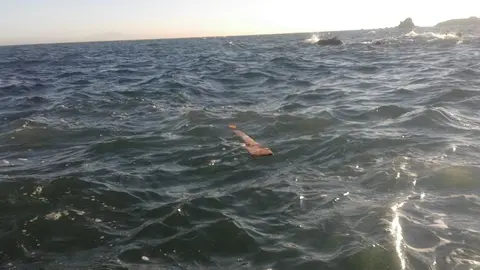 Hallan un cad&aacute;ver frente al mar de Albor&aacute;n en Almer&iacute;a. Estas son las causas