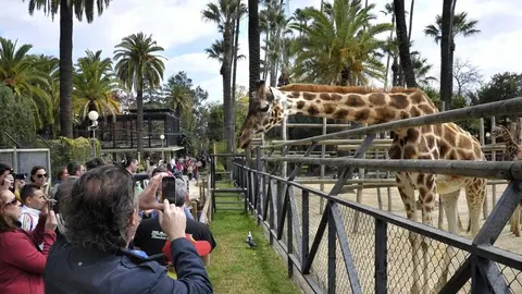 Un vigilante municipal quedaba con menores dentro del Zoo de Jerez cuando cerraban