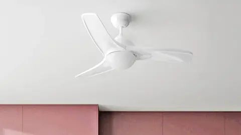 La fiebre por el ventilador de techo de Leroy Merlin en Black Friday