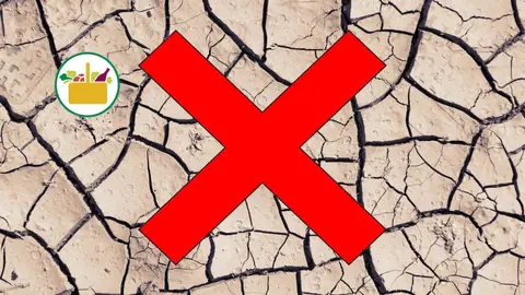 La crema hidratante de Mercadona de menos de 2 euros que regenera la dermis