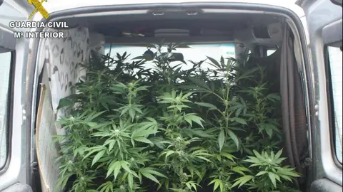 As&iacute; incautan distintas cantidades de drogas en 2 alijos en un mismo d&iacute;a en carreteras de Ja&eacute;n