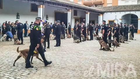 Jerez contar&aacute; con una unidad canina en su Polic&iacute;a Local en honor a Jos&eacute; &Aacute;ngel