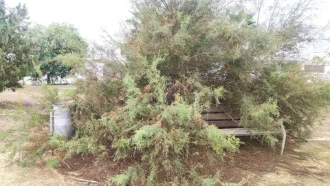 Imagen del parque de Pit&aacute;goras y parque Pozoalbero de Jerez