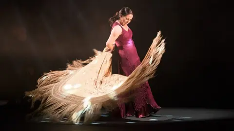 Estos son los premios de la Junta de Andaluc&iacute;a para reconocer la grandeza del flamenco