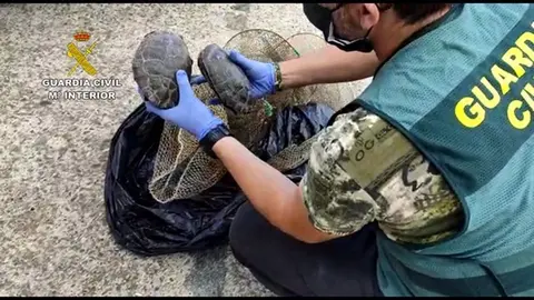 Estas son las condiciones deplorables en las que llevaban a 112 gal&aacute;pagos en un coche en Sevilla