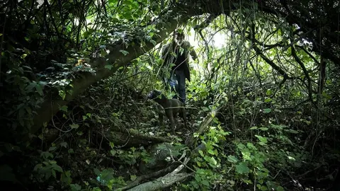 Todo lo que debes saber sobre El Lute, el bandolero que quema coches oficiales en la Sierra de C&aacute;diz