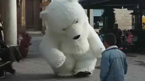 El oso perjudicado de C&aacute;diz en Jerez