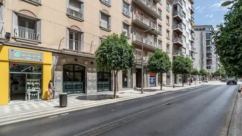 Muestra sus genitales en plena calle en Granada y acaba enfrent&aacute;ndose a la polic&iacute;a