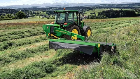 As&iacute; roba 22 cabezas de ganado un vecino de Rute (C&oacute;rdoba) de una finca de Almod&oacute;var
