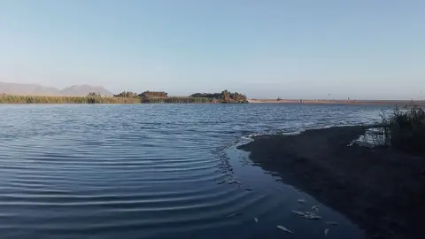 Hallan el cuerpo sin vida de una persona en una playa de Almer&iacute;a