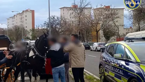 Un caballo se desboca en Sevilla estos son los da&ntilde;os para los implicados
