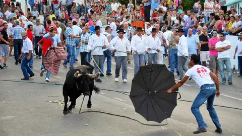 Toros en las Azores