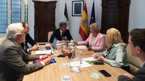 Garc&iacute;a-Pelayo en la reuni&oacute;n con el consejero de Industria
