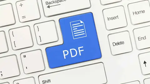 Es posible la gesti&oacute;n de varios archivos PDF a la vez