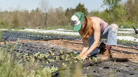 1,3 millones para la inserci&oacute;n laboral de 626 mujeres del medio rural y urbano de Huelva