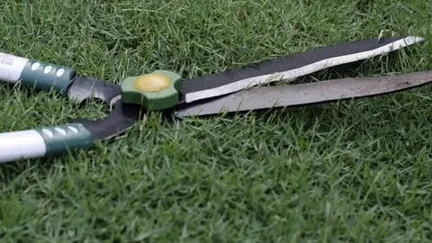 Cae desde varios metros de altura mientras cortaba una palmera en Estepona (M&aacute;laga)