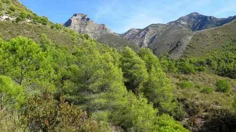 Esta es la impactante ca&iacute;da de un senderista en la zona de Fuente del Esparto de Nerja (M&aacute;laga)