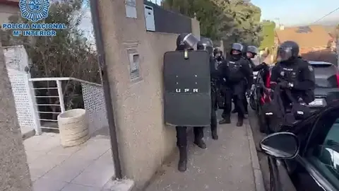 As&iacute; cae una red que trasladaba coca&iacute;na oculta en maceteros y que entr&oacute; por el puerto de M&aacute;laga