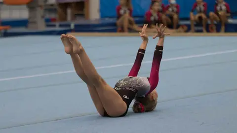 Gimnasia art&iacute;stica