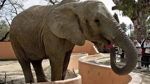 Buba en el Zoobot&aacute;nico de Jerez (1)