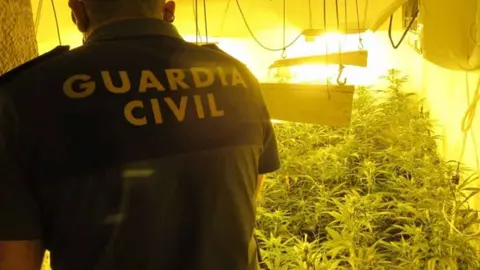 Un agente de la Guardia Civil en una plantaci&oacute;n de marihuana