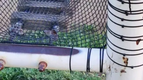 Familias de Jerez denuncian el estado del puente de la Ciudad de la Infancia De pena