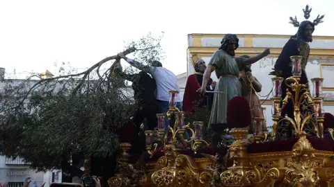 Retirada del olivo del paso del Prendimiento