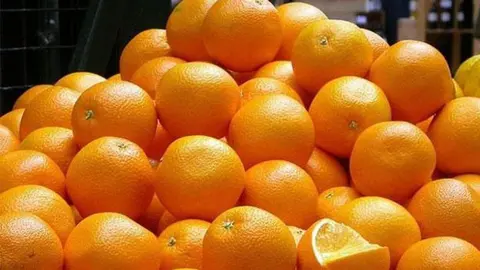 Espectacular persecuci&oacute;n por las carreteras de C&oacute;rdoba. Todo por 1.200 kilos de naranjas