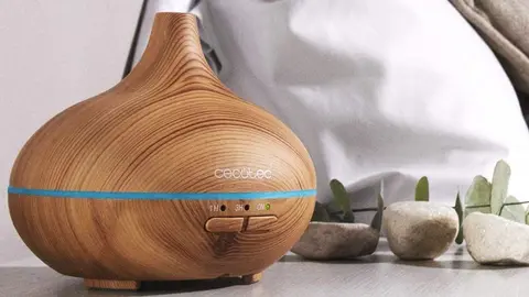 Amazon te trae el humidificador ultras&oacute;nico de Cecotec perfecto para que tu hogar huela a gloria