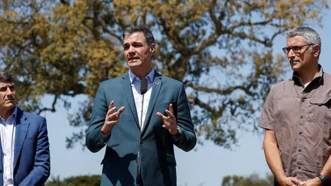 Pedro S&aacute;nchez visita Do&ntilde;ana pero no pronuncia ni una sola palabra sobre la sequ&iacute;a