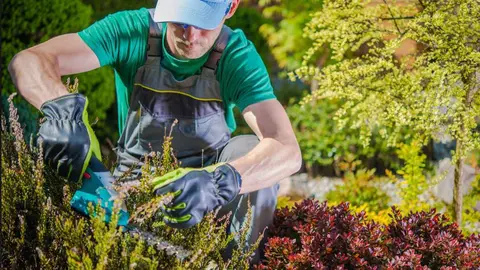 II Feria de la Formaci&oacute;n Profesional en Jerez