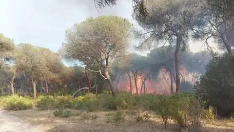 Inquietud en Huelva. As&iacute; evoluciona el incendio declarado en la laguna de El Portil