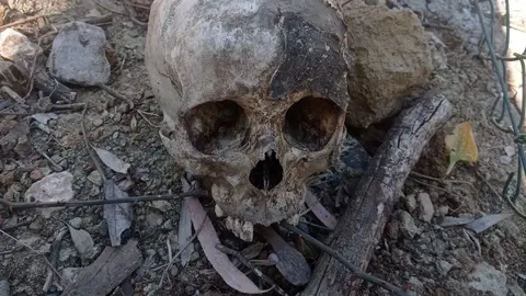 Hallan restos humanos junto a una maleta en M&aacute;laga. Los confunden con juguetes de piscina