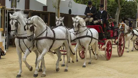 El PP anuncia que incluir&aacute; la Real Escuela en el Paseo de Caballos de la Feria de Jerez