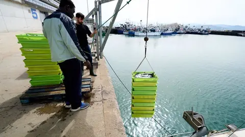 La Junta de Andaluc&iacute;a distribuye 2,35 millones en ayudas a la industria pesquera y acu&iacute;cola