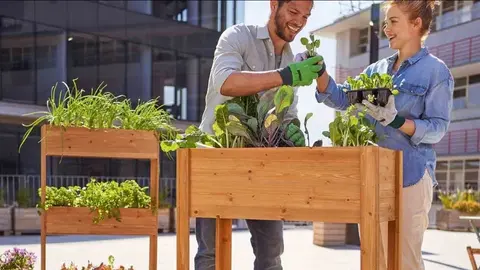Jardinera elevada de Lidl