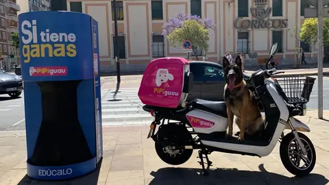Lo que debes saber del 'Pipiguau', un novedoso sistema de recogida de orina de perros en Huelva