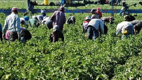 Estas son las lamentables condiciones que soportan inmigrantes en el sector agr&iacute;cola de C&oacute;rdoba