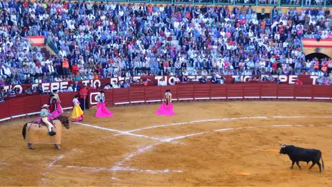 Toro Morisco | Foto: Marciano Bre&ntilde;a