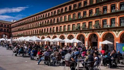 Esta es la brutal pelea entre camareros y clientes en un bar de C&oacute;rdoba. Hay 15 implicados