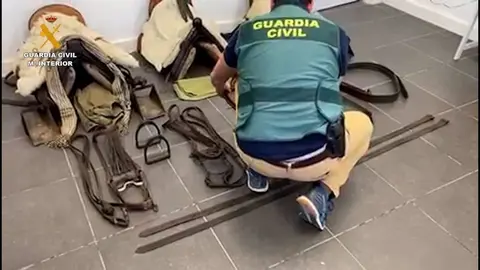 Este es el valioso robo de material ecuestre descubierto en Chucena (Huelva)