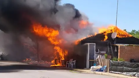 Tragedia en Huelva. Mueren quemados 4 perros en el incendio intencionado de una casa de madera