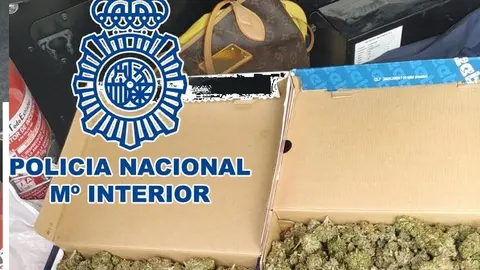Se pasea por las calles de Granada con una caja de cart&oacute;n con plantas de marihuana
