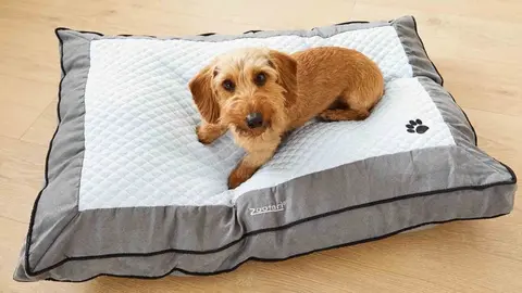 Cama para mascotas con efecto fr&iacute;o y calor Zoofari de Lidl