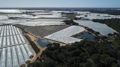 Huelva, una bomba que enfrenta a diario a la Junta de Andaluc&iacute;a y al Gobierno de Pedro S&aacute;nchez