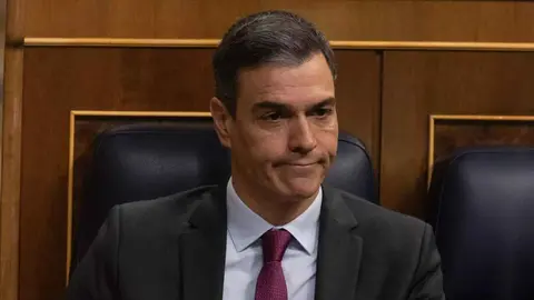 Pedro S&aacute;nchez