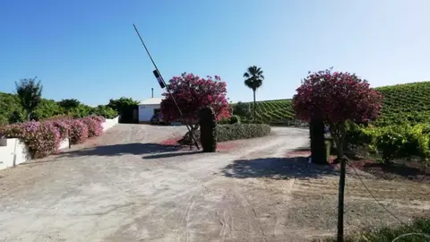 Finca con vi&ntilde;edo&nbsp;a la venta en Jerez
