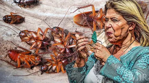 Plaga en Jerez de cucarachas