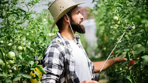 Andaluc&iacute;a autoriza la ampliaci&oacute;n hasta casi 91 millones de las ayudas a j&oacute;venes productores
